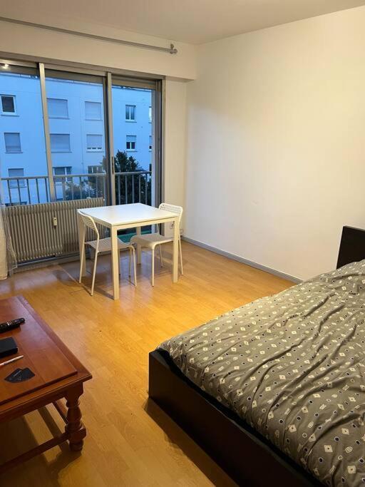 Апартаменты Studio A 2 Minutes De La Gare Мюлуз Экстерьер фото